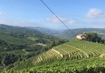 Landschaft mit Weinberg und Kapelle