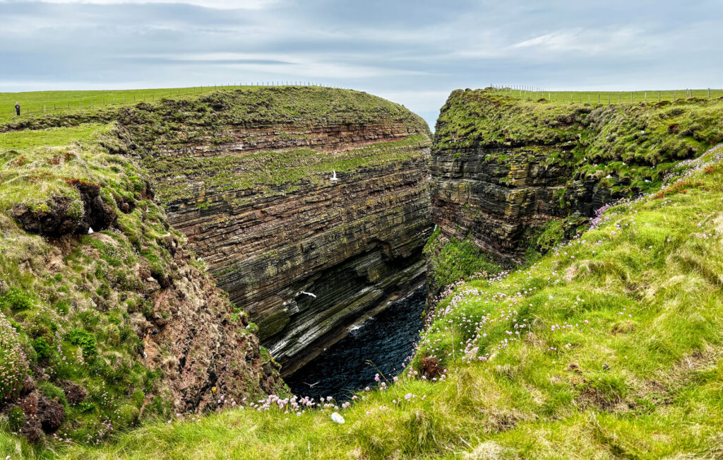 Eine Felsenschlucht als Brutstätte für Möwen und Papageientaucher